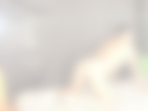 LushStories profile picture for @into